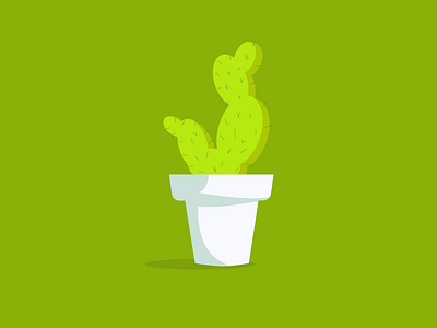 Green Cactus