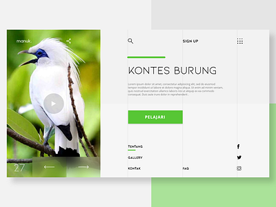 Manuk Concept design bird contest clean design green landing landing page ui website website concept website design white