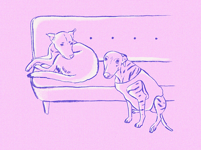 Dogs animals dog dogs friends friendship illustration procreate