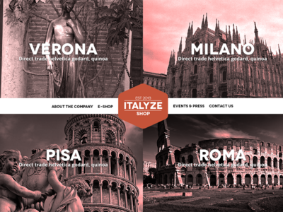 Website Concept design