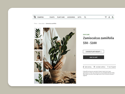 Plant shop - product page plant shop shopping ui ux website design