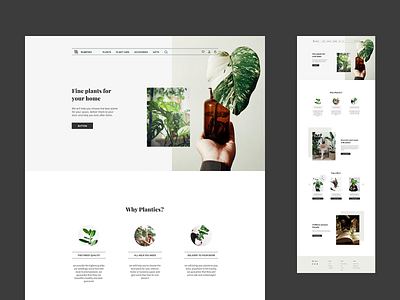 Plant shop - homepage plant plant shop shop shopping ui ux website design