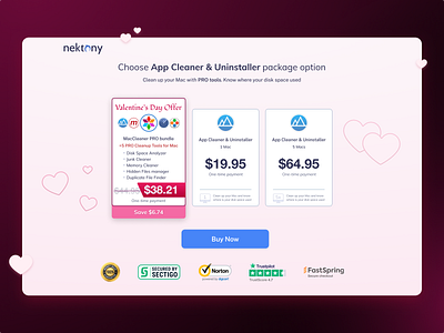 Valentine's Day Offer Web Page Design