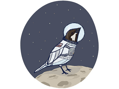 Space Sparrow