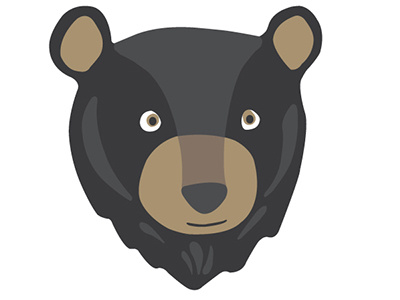 Black Bear Head Nursery Illustration animal black bear childrens illustration digital illustration