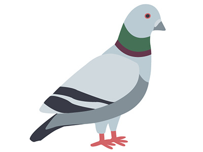 Pigeon Nursery Illustration animal childrens illustration city digital illustration pigeon rats with wings urban