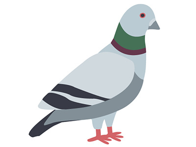 Pigeon Nursery Illustration