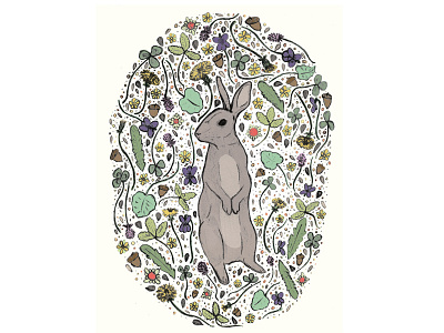 Flora and Fauna - Rabbit