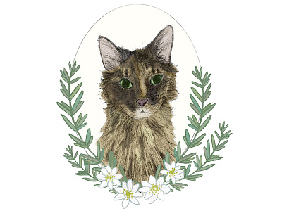Daphne Memorial Illustration adobe animal cat drawing floral frame illustration illustrator memorial pet pet portrait portrait