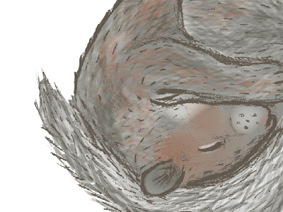 Sleeping Squirrel - Work in Progress adobe animal childrens illustration drawing illustration illustrator opacity squirrel vector woodland work in progress