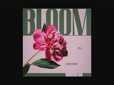 096 ~ bloom. album cover design cover artwork custom type dailyposter dailyposterdesign graphicdesign layout minimalism photoshop poster a day swiss design swiss style typogaphy visual arts visual design visual graphics