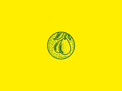 Avocado avocado branding green identity illustration yellow