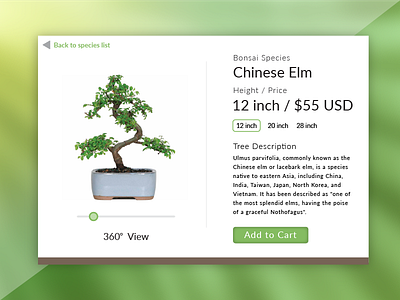 Daily UI #012 E-Commerce Shop bonsai buy daily e commerce flat green plant shop tree ui