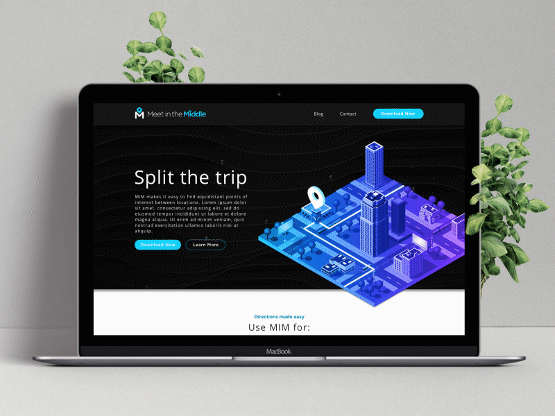 MIM Website Mockup