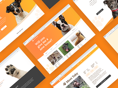 chrome browser mockup for Best Friends shelter animal cats clean desin clean ui device mockup dogs pet shelter website