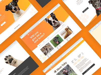 chrome browser mockup for Best Friends shelter