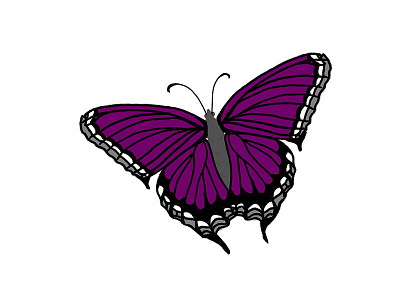 Ace Butterfly asexual asexual pride butterfly gay pride pride 2020 pride month