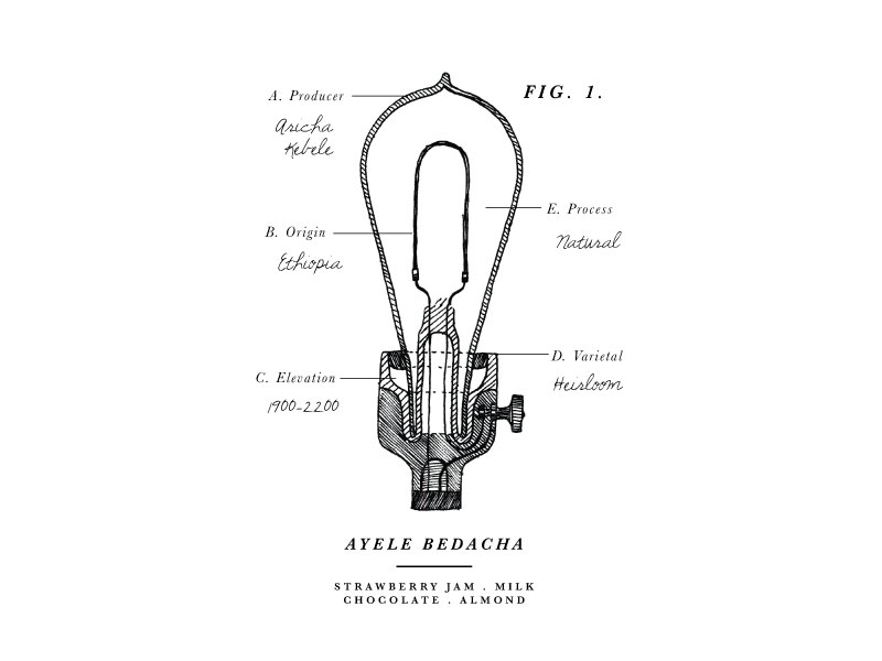 Bulb Illustration by Whitney Anderson on Dribbble