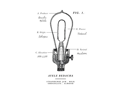 Bulb Illustration blueprint bulb chart coffee illustration lightbulb line art packaging