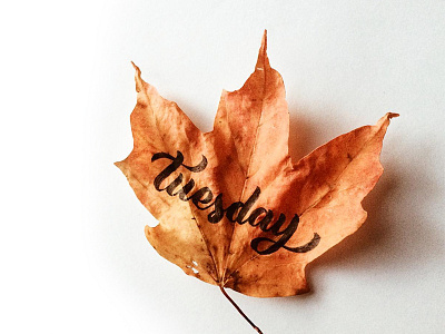 Teusday autumn leaf lettering