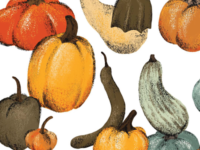Pumpkins autumn gourds illustration pumpkins texture