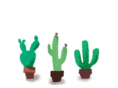 Cactus art artist illustration plant