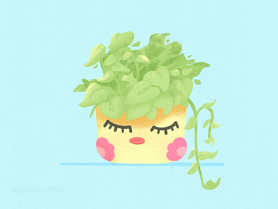 Sleepy plant