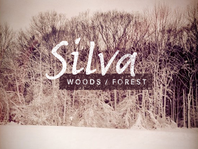 Silva - woods/forest name silva snow typography woods