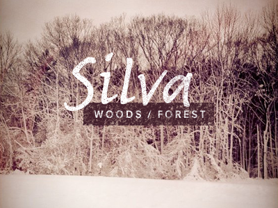 Silva - woods/forest