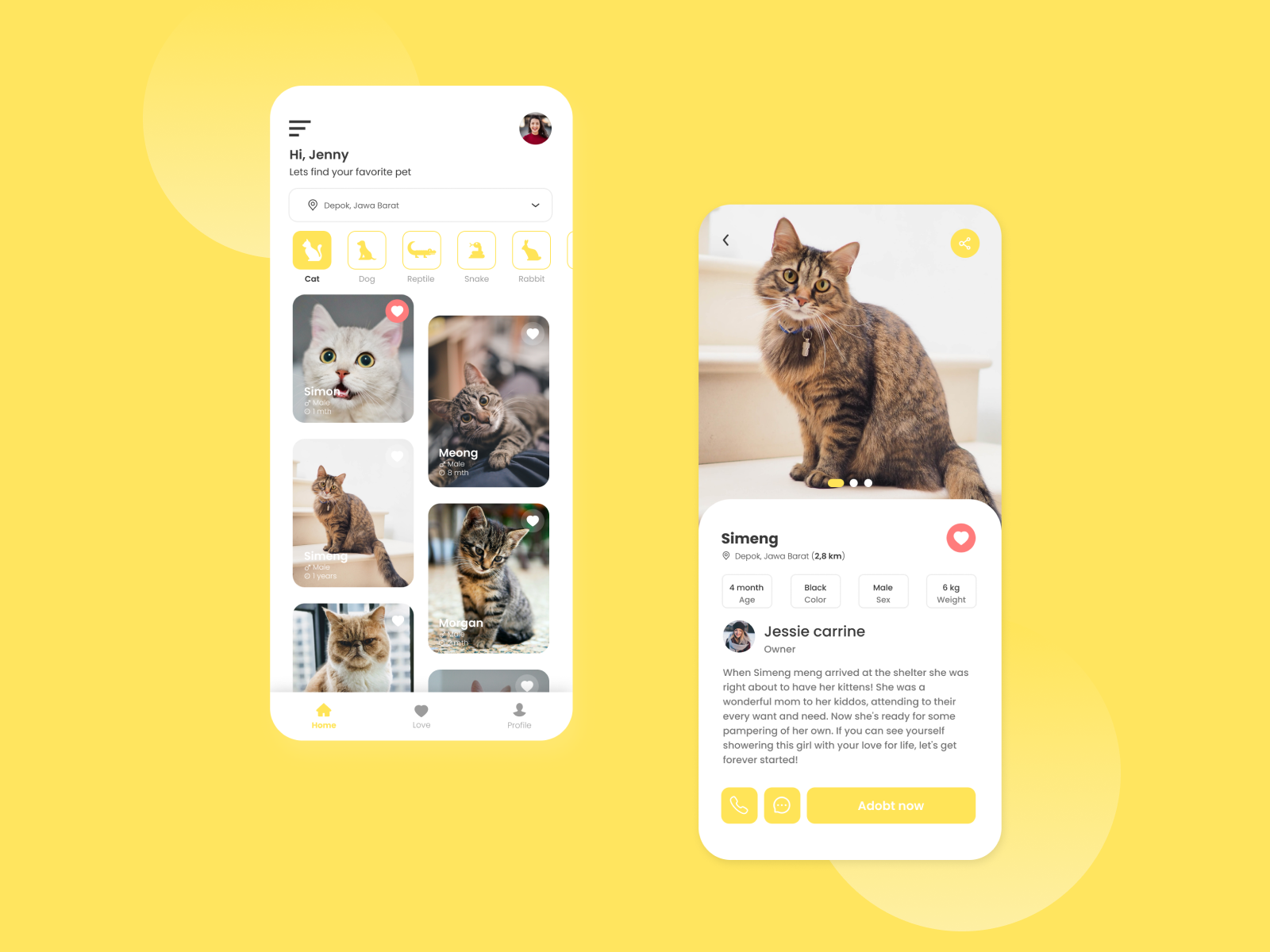 Pet Finder by Parizzz on Dribbble