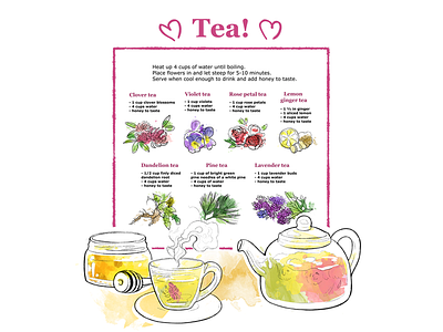 Tea! <3 aquarelle art colourful herbs illustration pecipe photoshop tea watercolor
