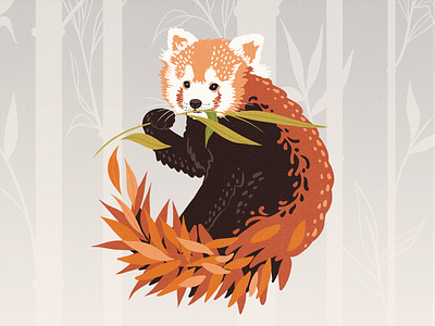 Red panda