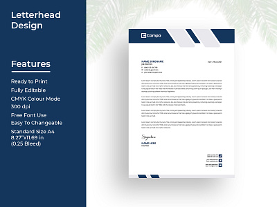 Professional Letterhead Design