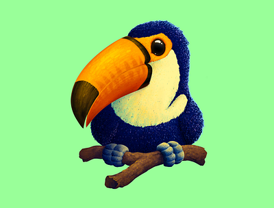 Toucan animal art art bird digitial illustration nature procreate toucan