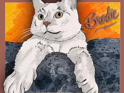 Brodie cat drawing digital art illustration procreate