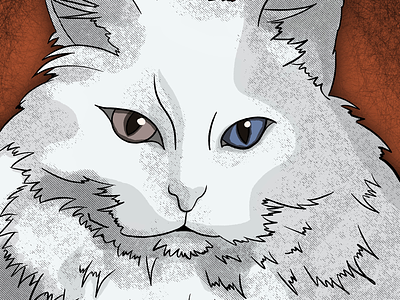Isabella cat drawing digital art drawing illustration procreate
