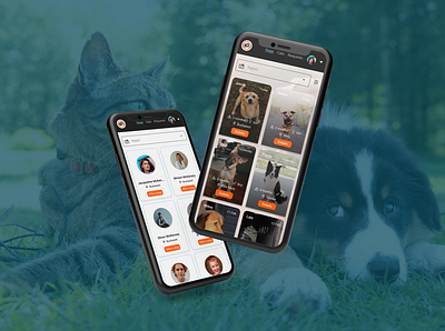 Adopt A Pet app design ui ux