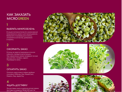 Feature_block/Lending Microgreen features lending page microgreens