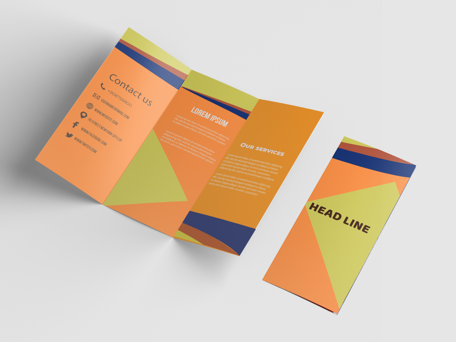 Tri-fold brochure by Rashendra Chandra Talukder on Dribbble