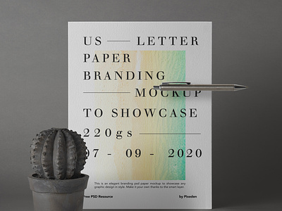 Free US Letter Brand Paper Mockup