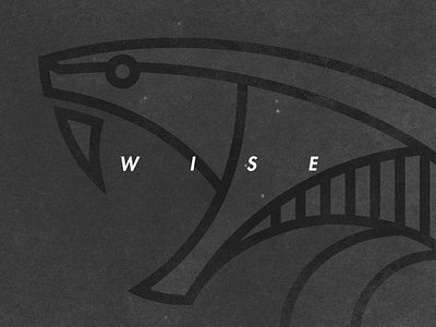 Wise black cobra concept enigma fesyuk illustration marco shirt snake wise