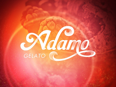 Adamo - Gelato