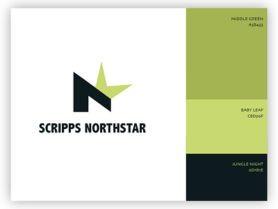 Northstar Branding branding branding design clean color palette design ecommerce flat logo minimal