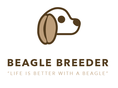 Beagle Breeder adobe adobe illustrator adobe illustrator cc beagle brand branding branding design design dog art dog logo dog lover logo logo challenge random logo vector vector art vector logo