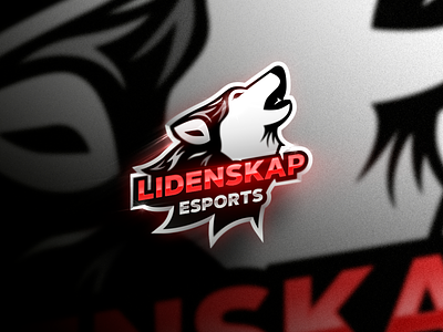 Lidenskap Esports