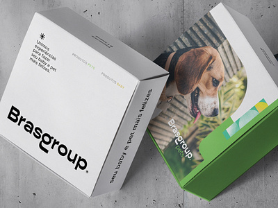 Brand Identity - Brasgroup | PSNDesign