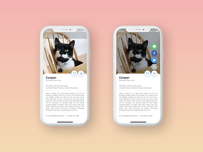 Daily UI 010—Social Share app app design daily daily ui daily ui 010 daily010 dailyui dailyui010 dailyuichallenge design figma interface pet adoption social share ui uidesign