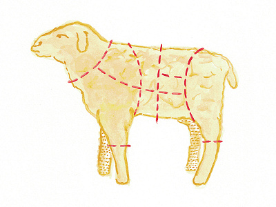 Lamb Chop Illustration book illustration butcher childrens book illustration invitation lamb watercolor