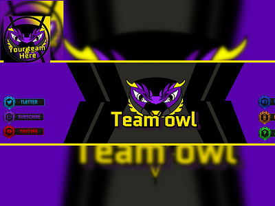 Team owl logo