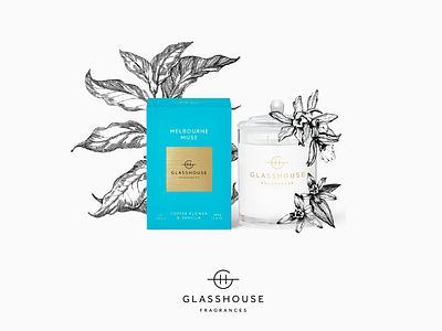 Melbourne Muse | Glasshouse | E-commerce #3 brand branding design designer glasshouse melbourne melbournemuse
